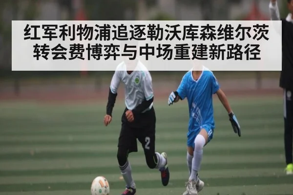 红军利物浦追逐勒沃库森维尔茨 转会费博弈与中场重建新路径